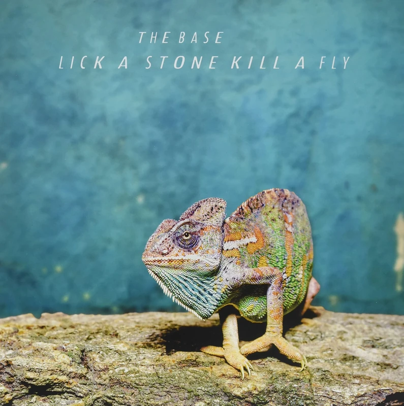 Lick a Stone Kill a Fly [VINYL] - Image 1