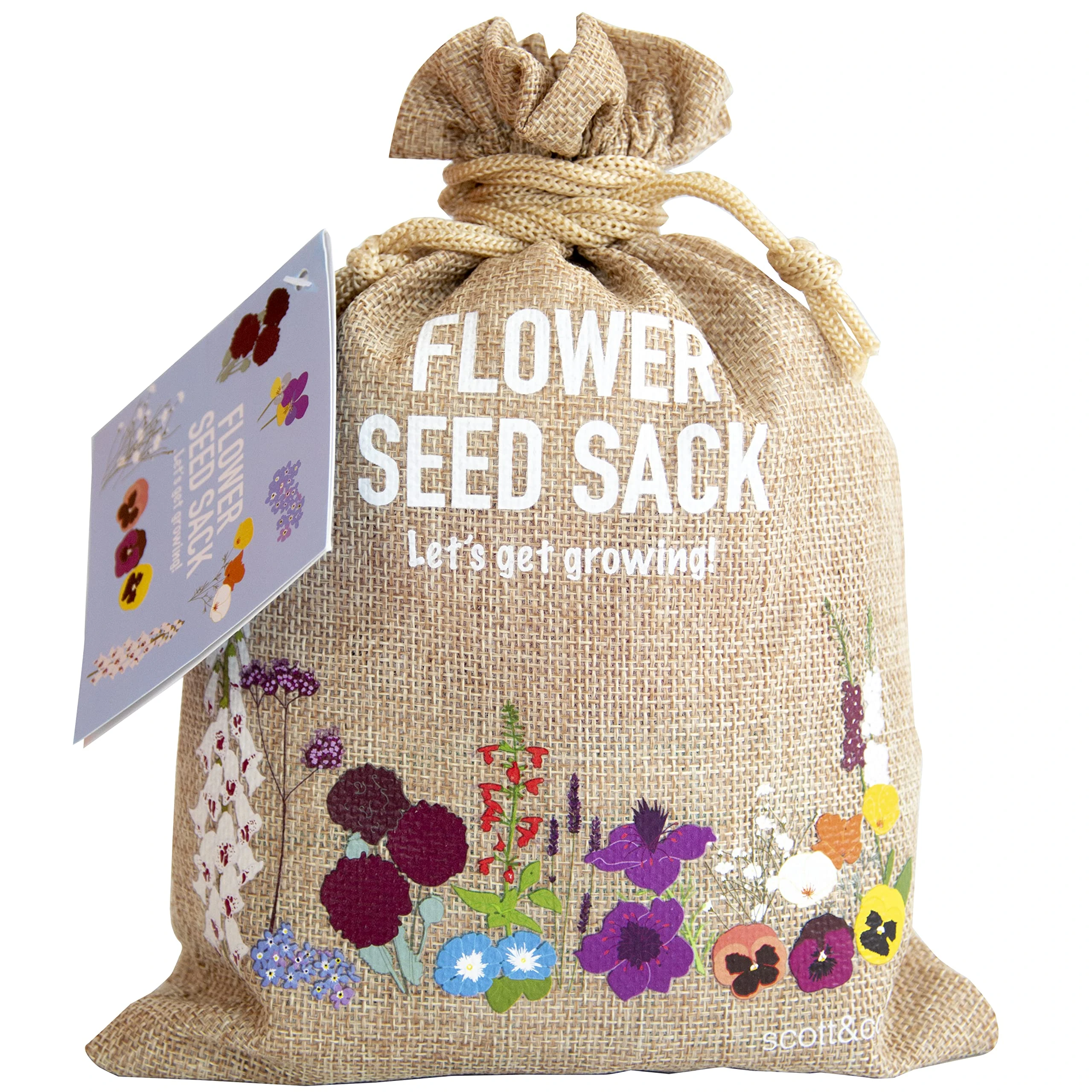 Scott&Co. Flower Seed Variety Pack - 30 Different Varieties of Flower Seeds to Grow Your Own. Butterfly and Bee Attracting, Grow Indoor and Outdoor. Christmas Gifts for Women and Men.