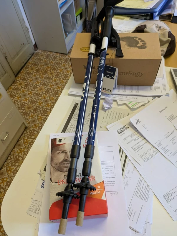 Leki Leki Lenhart GmbH Unisex Adult Leki Ski Pole, Blue, 7.5