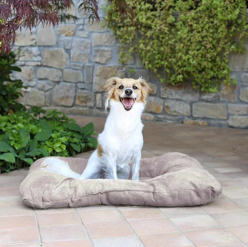 Italian Bed Linen Package No. 4 Pet Pads, Cream, 54 x 41 cm