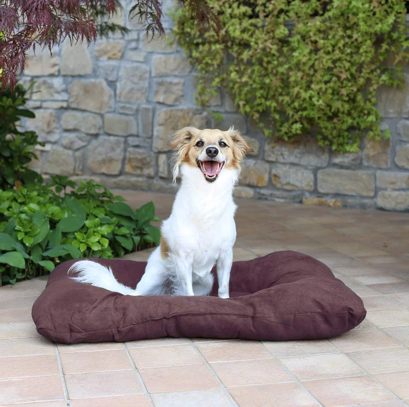 Package No. 4 Pet Pads, Brown, 54 x 41 cm