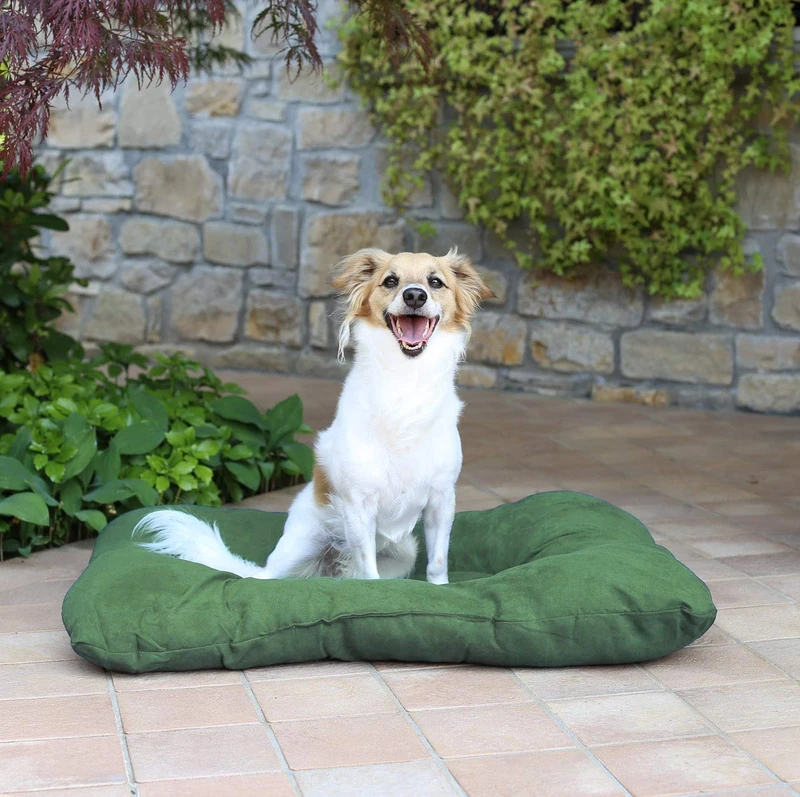 Package No. 4 Pets, Dark Green, 54 x 41 cm