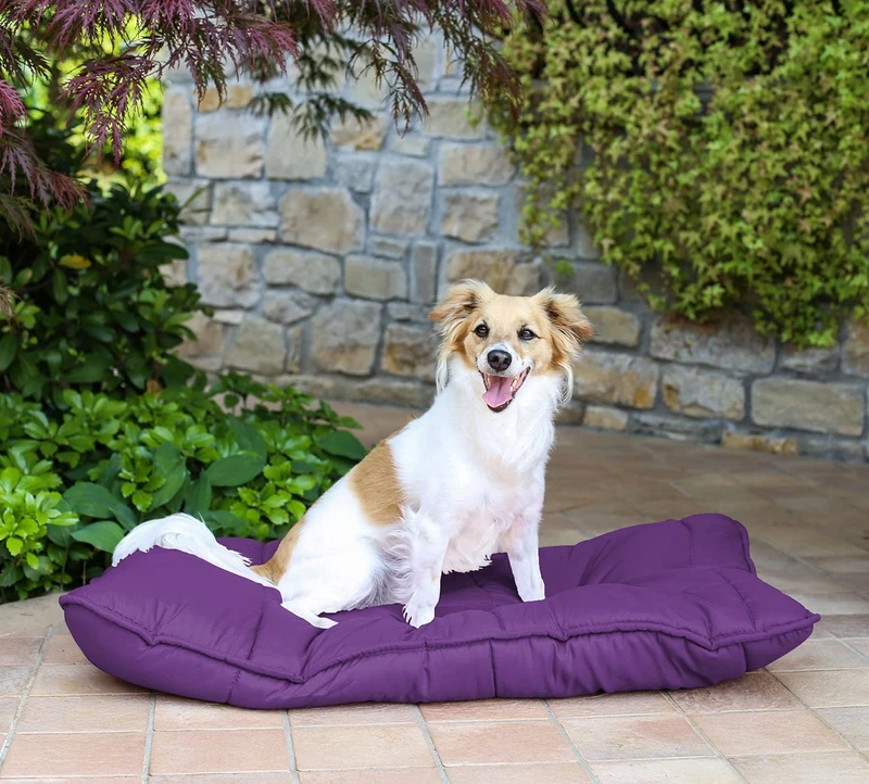 SOGNI E CAPRICCI PETS Package No. 2 Maxy Dog Cushions, Purple, 60 x 100 cm