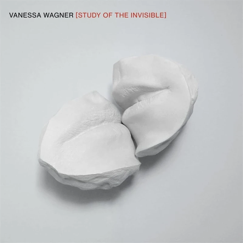 Study Of The Invisible [VINYL]