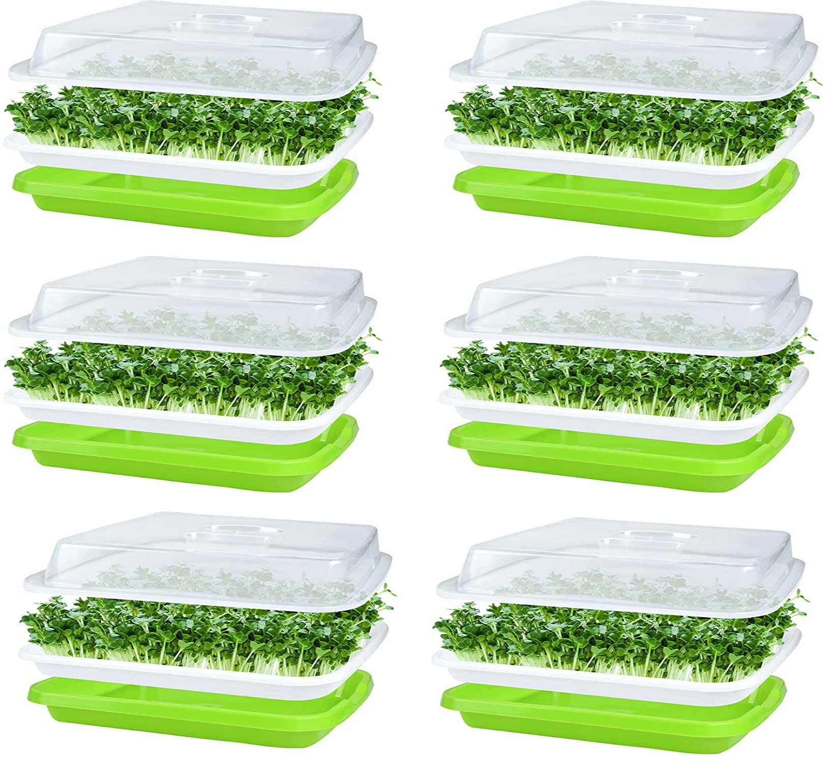 KAHEIGN 6Pcs Seed Sprouting Trays with Lid, 32cm x 26cm Large Capacity Germination Tray BPA Free Healthy Hydroponic Propagator with 24Pcs Planting Papers for Growing Mung Beans, Alfalfa, Wheat Grass
