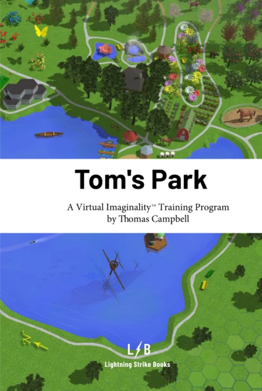 Tom's Park: A Virtual Imaginality™ Training Program