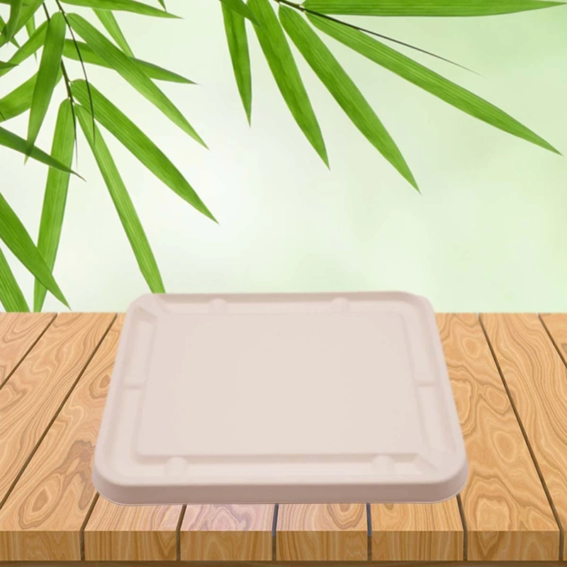 BeTasty Lid Lunch Box 1200 ml Sugar Cane Pack of 500