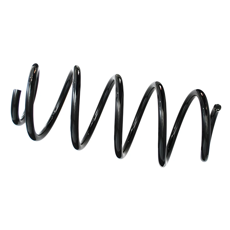 SKF VKDL 31062 Suspension Spring Kit