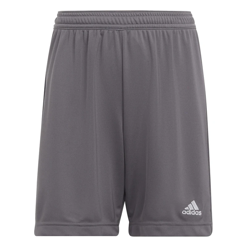 adidas Unisex Kids Entrada 22 Shorts, Team Grey Four, 13-14 Years