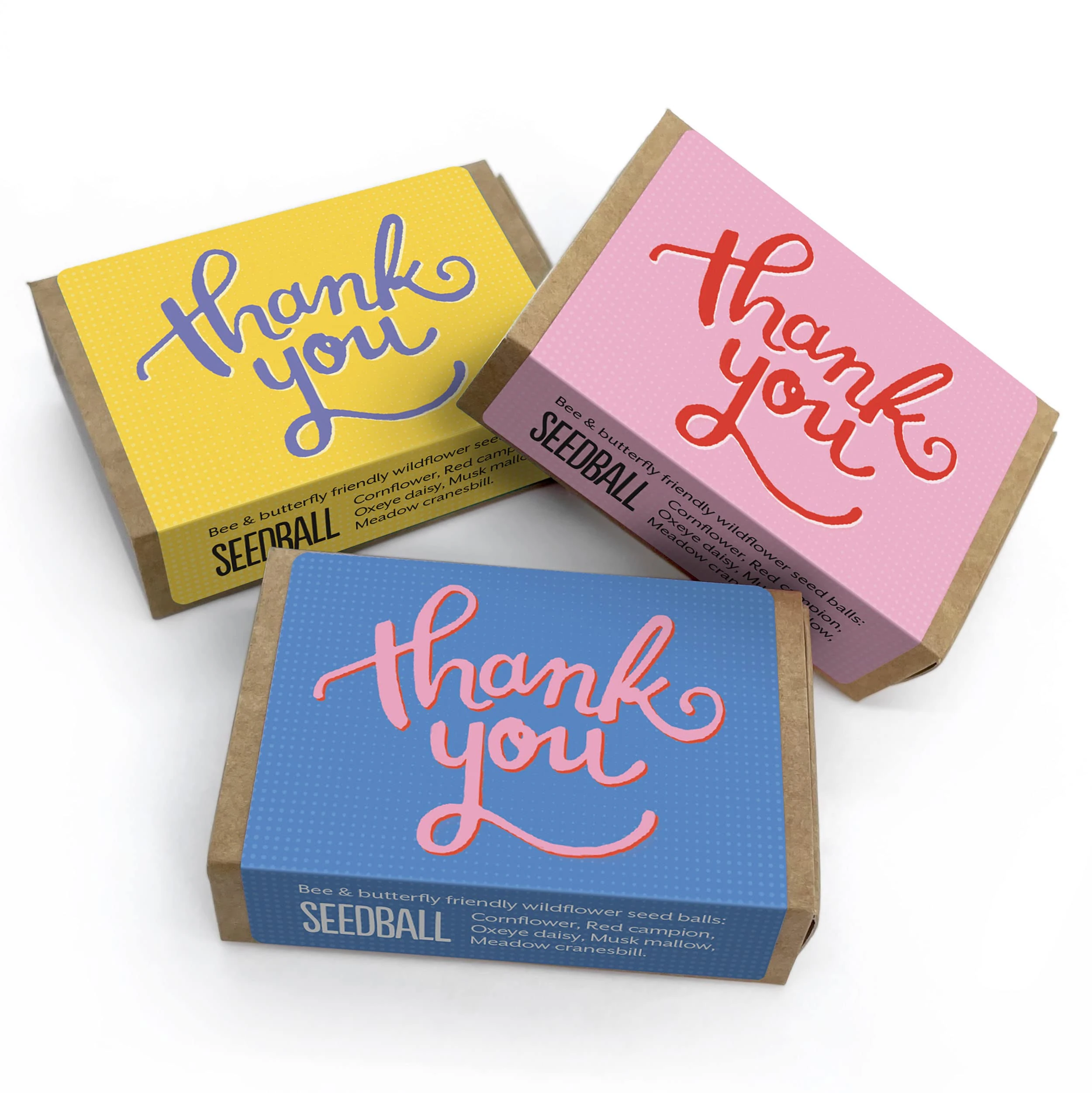 SEEDBALL Thank You Teacher Gifts Wildflower Seeds | Set of 3 Boxes with 6 Wild Flower Seed Balls Per Box | Bee Friendly British Wildflower Seed Bombs for Bees, Butterflies & Garden Wildlife