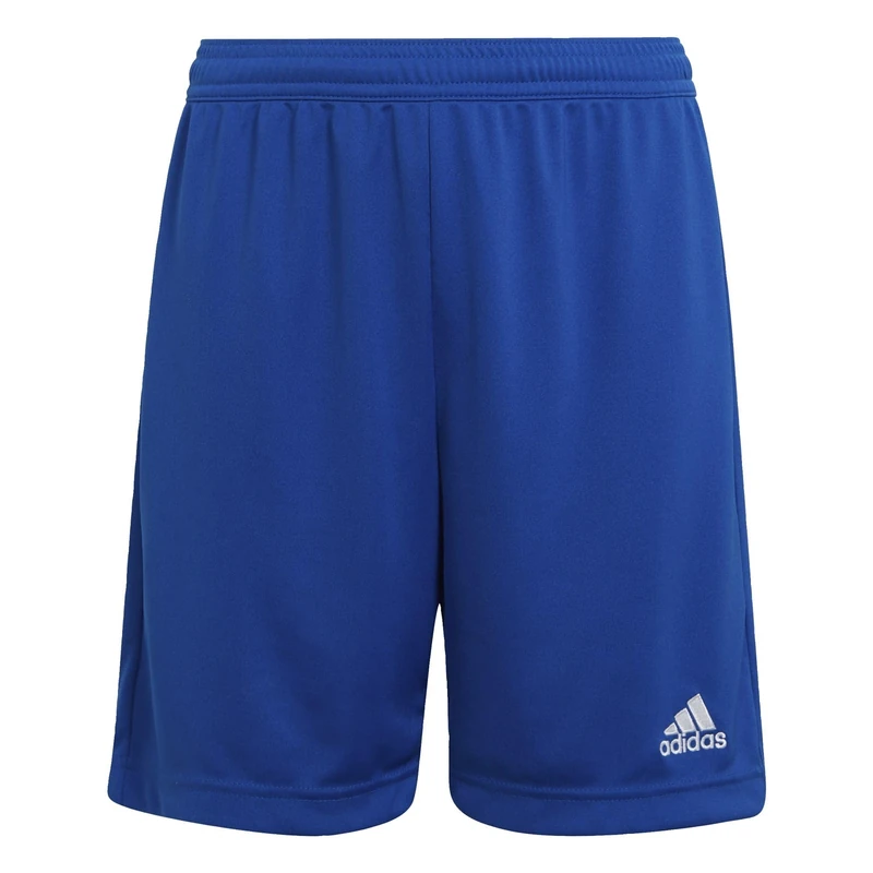 adidas Unisex Kids Entrada 22 Shorts, Royal Blue, 13-14 Years