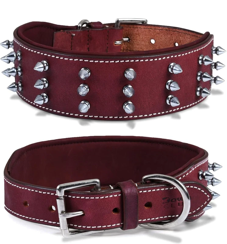 DowgClub Genuine Leather Spike Dog Collar - 2 inch Wide L