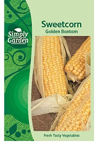 Simply Garden Sweetcorn Golden Bantam Seeds Grow Your Own Vegetable Corn On The Cob