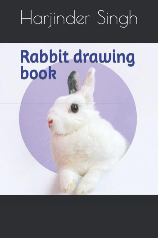 Rabbit drawing book
