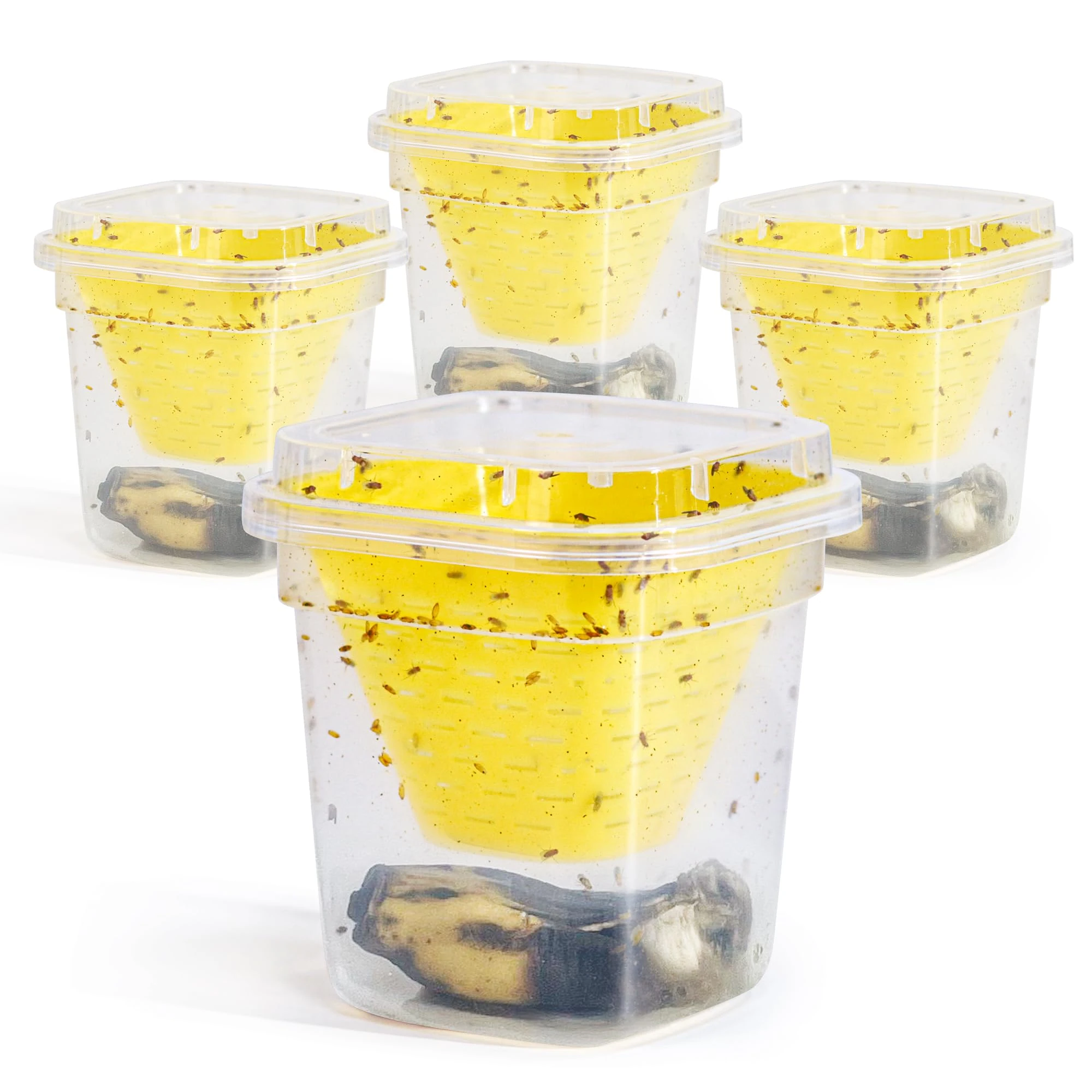 Fruit Fly Trap - 4 Pack - Non-Toxic No Baited Reusable Fruit Flies Catcher Environmentally Responsible Fruit Fly Killer Pet and People Safe