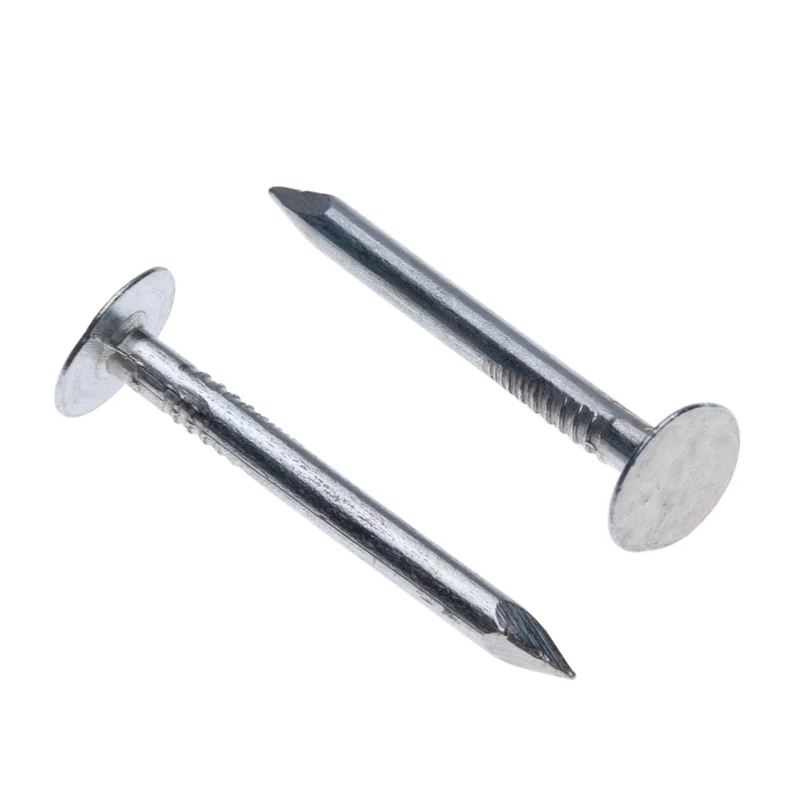 Clout Nails 30mm (Pack of 100) Extra Large Head Galvanized Shed Roofing Felt Tacks for DIY and Crafts Home Decor Woodwork Furniture and Construction Outdoor Wood Fence Roof Tiles (30mm x 2.8mm)