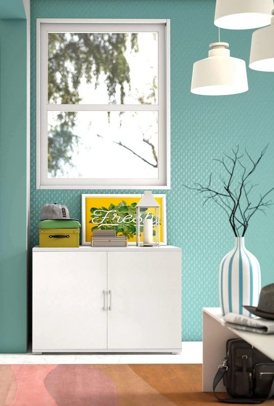 Dmora - Multipurpose wardrobe Bucaneve, Linear cabinet with 2 hinged doors with shelf, Entrance furniture, Modern shoe rack, 100% Made in Italy, 90x45h66 cm, White