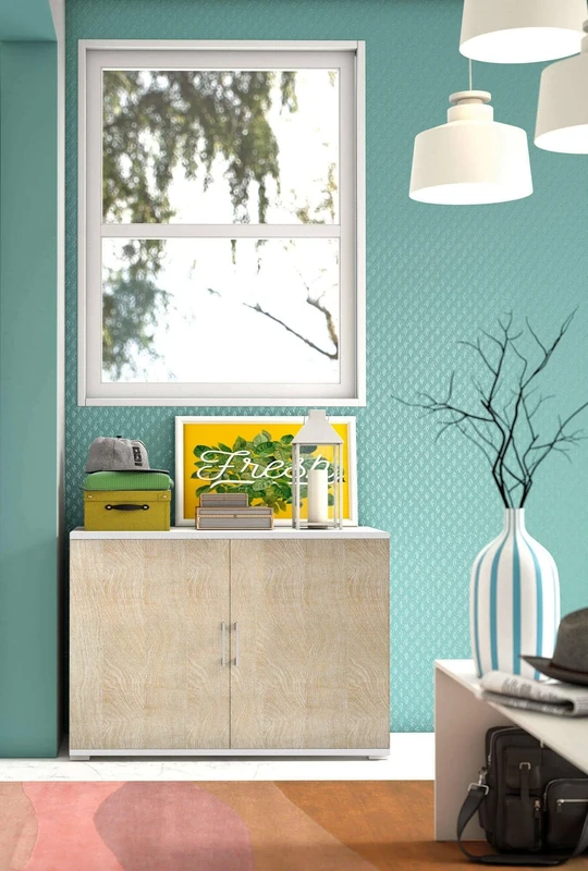 Dmora - Multipurpose wardrobe Bucaneve, Linear cabinet with 2 hinged doors with shelf, Entrance furniture, Modern shoe rack, 100% Made in Italy, 90x45h66 cm, Oak and White