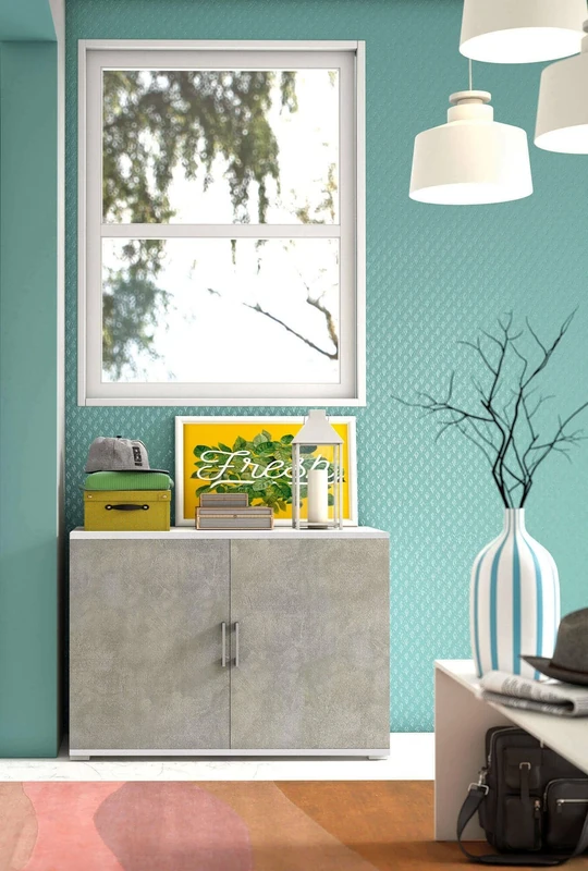 Dmora - Multipurpose wardrobe Bucaneve, Linear cabinet with 2 hinged doors with shelf, Entrance furniture, Modern shoe rack, 100% Made in Italy, 90x45h66 cm, Cement Grey and White