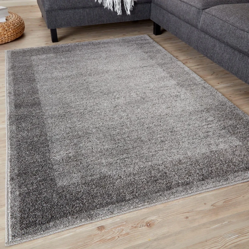 THE RUGS Ultra Soft Area Rug – Modern Luxury Fluffy Rug, Grey Plain Pattern Rugs for Living Room, Bedroom, Kids Room (160x230 cm, Grey)