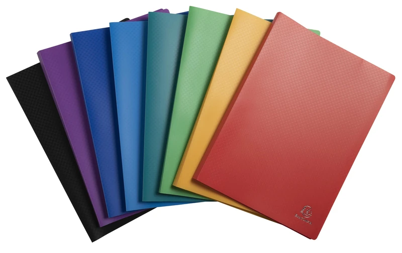 Porte vues prolypropylene souple pochettes grainees opaque 20 vues - a4