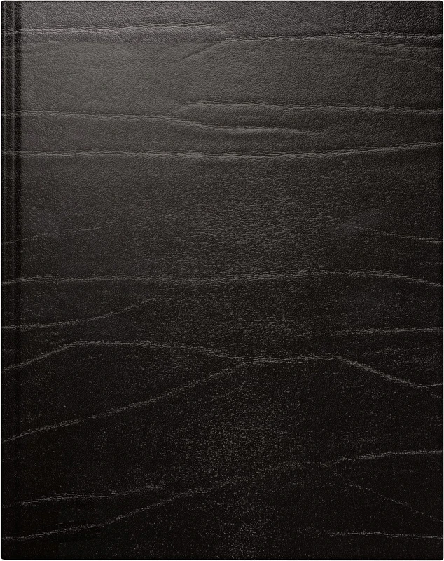 rido/idé Weekly Calendar Model Manager Calendar TM 2023 Sheet Size 20.5 x 26 cm Black