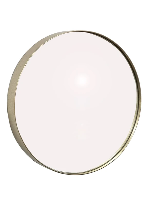 Studio Round Wood Accent Wall Mirror/Vanity Mirror/Bathroom Mirror (80.5 dia x 4 cm, Champagne Silver)