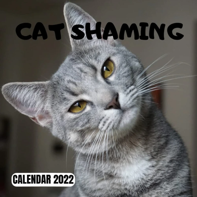 CAT SHAMING CALENDAR: 2022 Day-to-Day Calendar- 16 Pages size 8.5 x 8.5