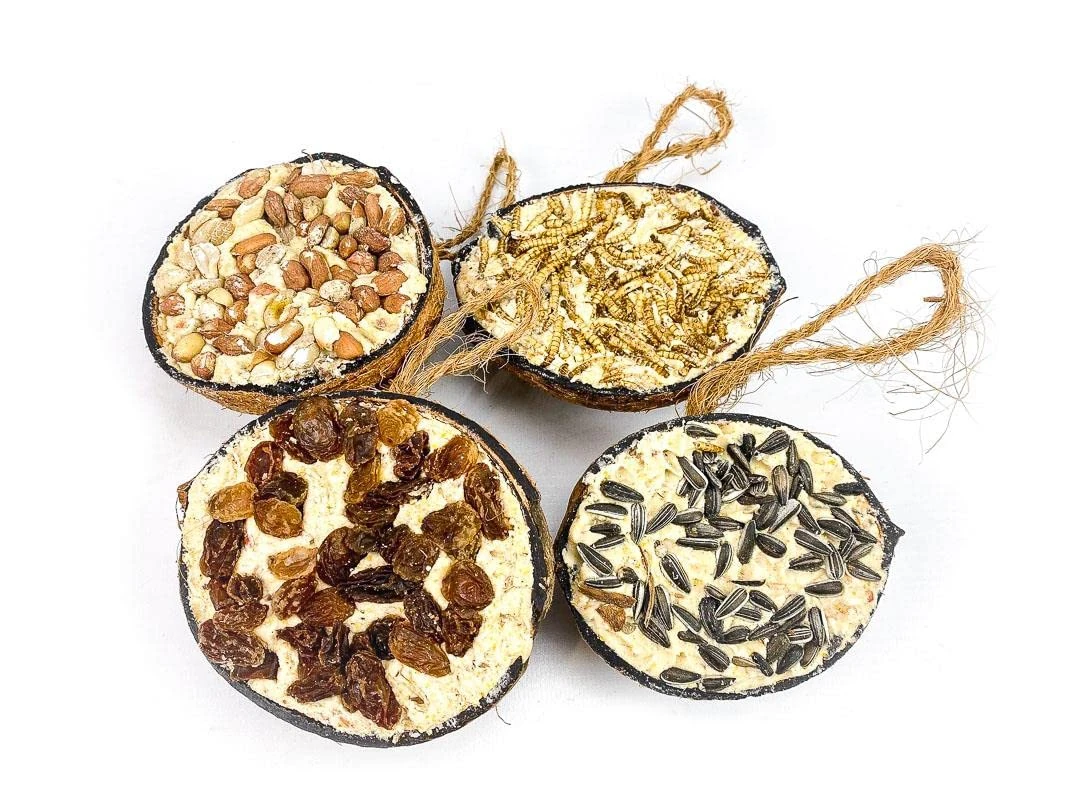 Chubby Suet Half Filled Variety Pack, Bird Feeder Coconut Halves for Wild Birds, Coconut Shell Suet Birds Food, Suet for Blackbirds, Woodpeckers, Starlings & Sparrows (4 Pack)