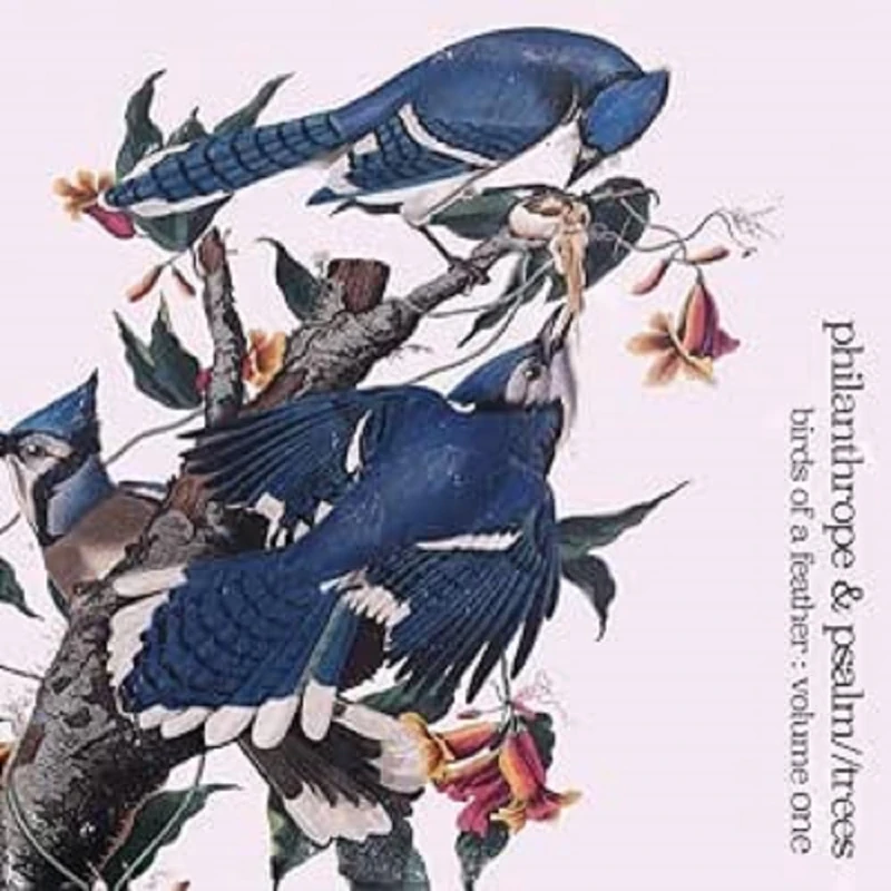 Birds Of A Feather Volume 1 [VINYL]