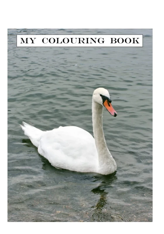 My Colouring Book
