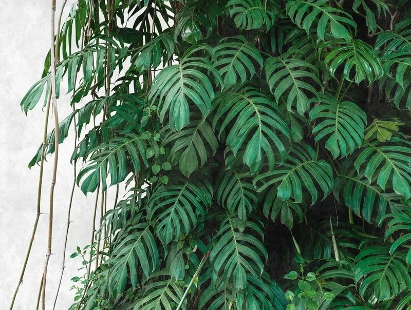 Livingwalls Jungle The Wall Non-Woven Wallpaper 3.71 m x 2.80 m Green Grey Made in Germany 382411 382411