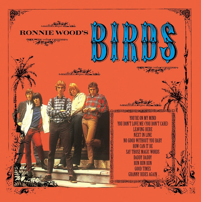 Ronnie Wood's Birds [VINYL]