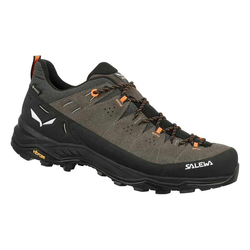 Salewa ALP TRAINER 2 GTX M, 47, Bungee Cord/Black