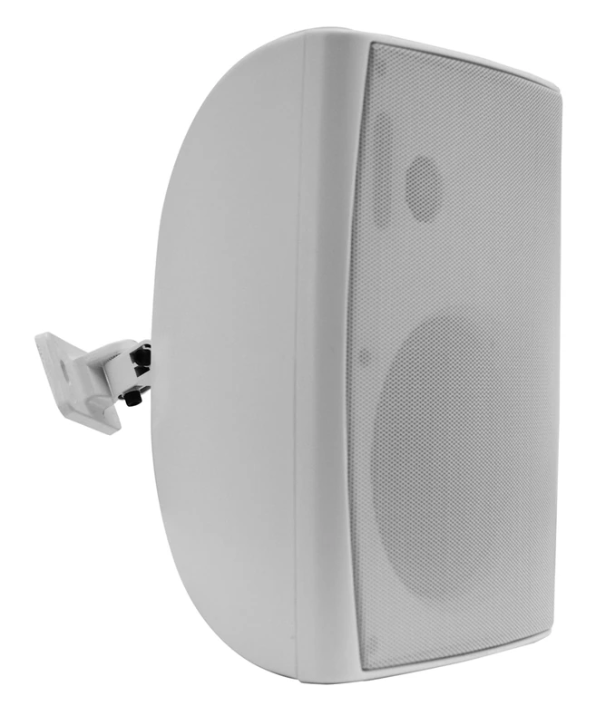 Diffuser 100V and 8 Ohm - 45W