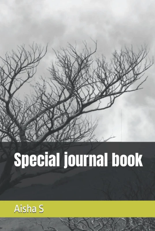 Special journal book