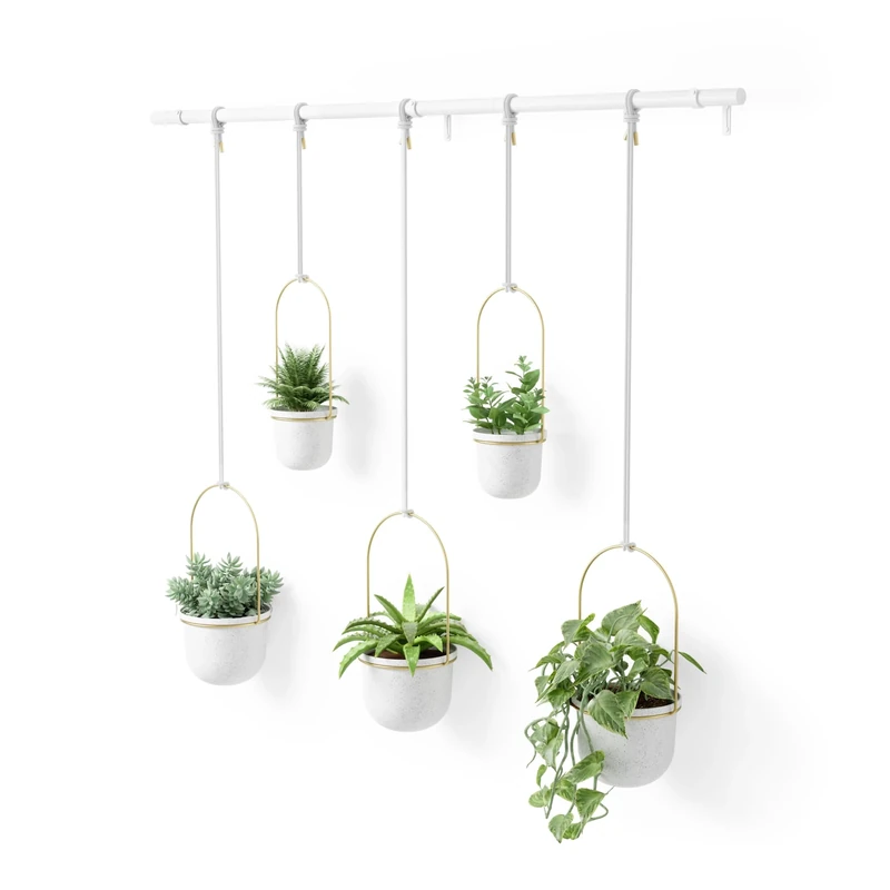 Umbra Hanging Planter for Succulents, Herbs and Other Small Plants, White, Brass, 5 Pots