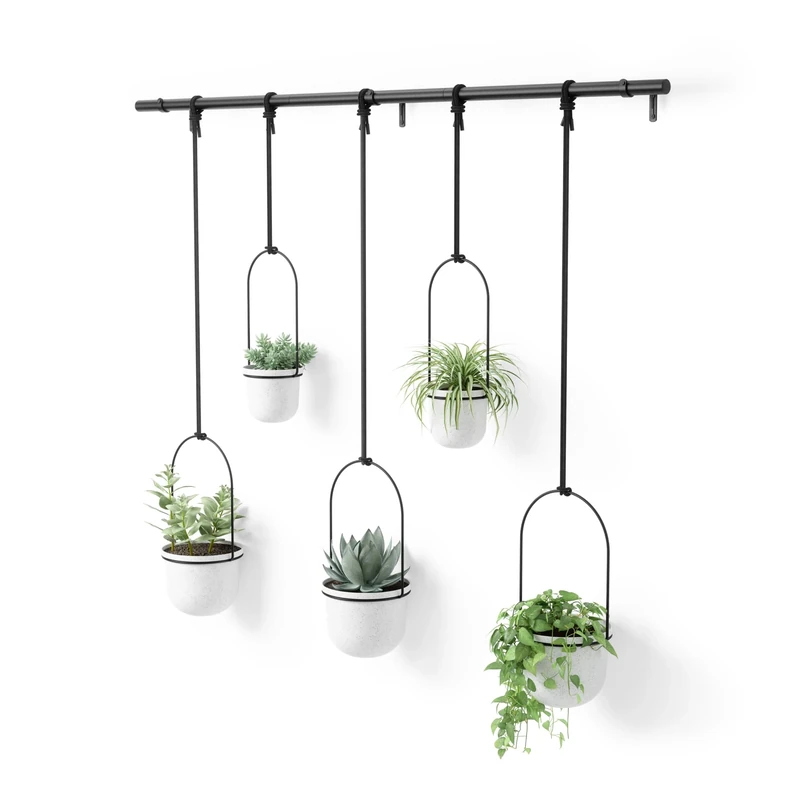 Umbra Triflora Hanging Planter for Window, Indoor Herb Garden, Set of 5, White/Black