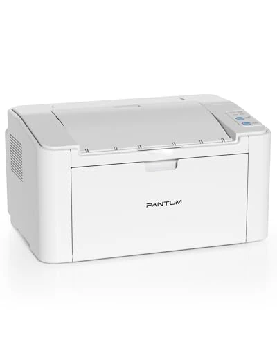 PANTUM 2122 Laser Printer (P2502W-D)