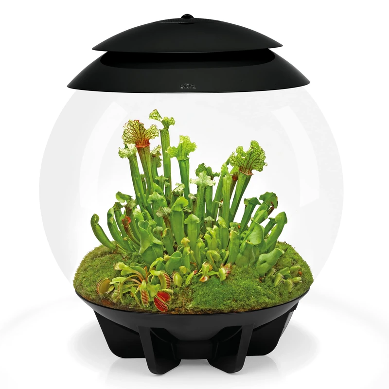 biOrb Air 30 Terrarium (Black, 30 Litres), Perfect Beginner Terrarium With Integrated LED Lights To Encourage Natural Growth, Quick & Easy To Set Up, Fully Automated With 360-Degree View, Acrylic