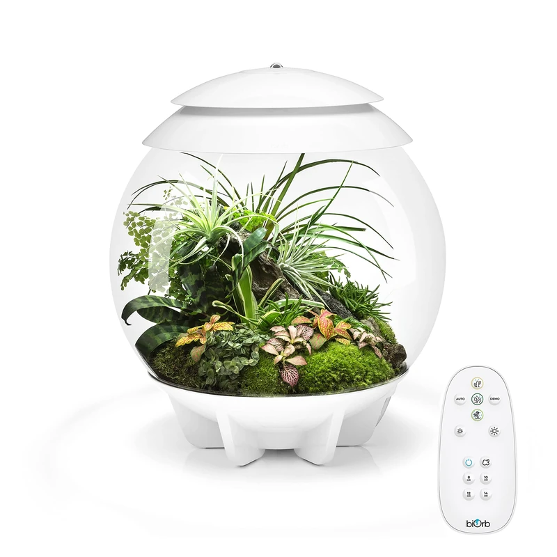 biOrb Air 30 Terrarium (White, 30 Litres), Perfect Beginner Terrarium With Integrated LED Lights To Encourage Natural Growth, Quick & Easy To Set Up, Fully Automated With 360-Degree View, Acrylic