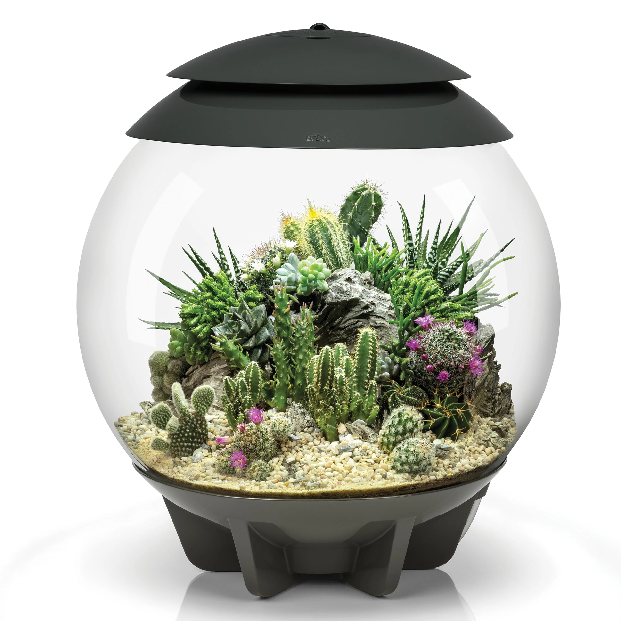 biOrb Air 30 Terrarium (Grey, 30 Litres), Perfect Beginner Terrarium With Integrated LED Lights To Encourage Natural Growth, Quick & Easy To Set Up, Fully Automated With 360-Degree View, Acrylic