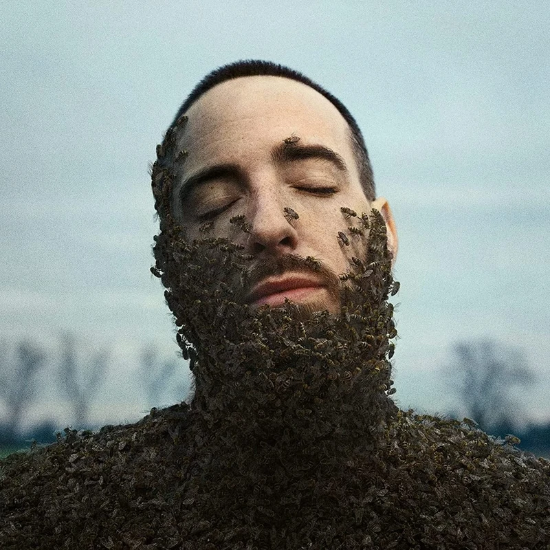 Alles War Schön und Nichts Tat Weh [VINYL]