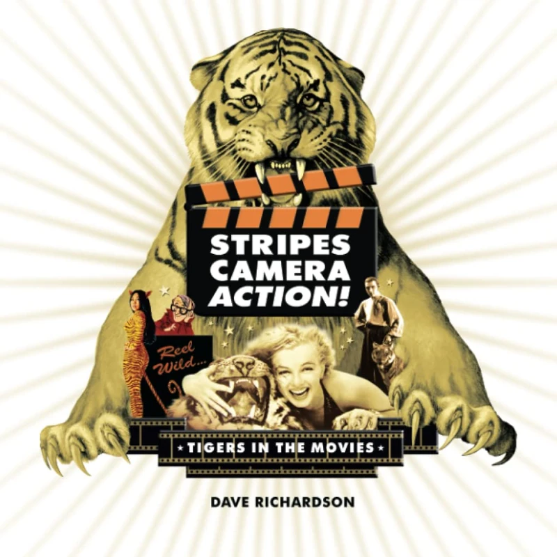 STRIPES, CAMERA, ACTION! - Image 1