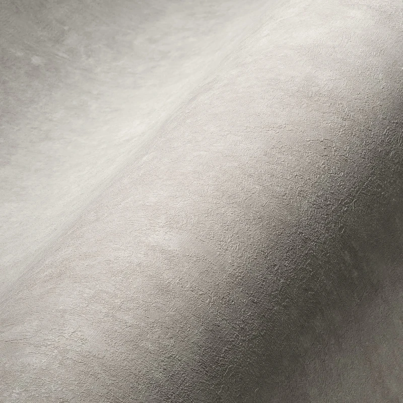 Livingwalls My Home My Spa 386934 Non-Woven Wallpaper, Concrete Look, Light Grey, 10.05 x 0.53 m, Made in Germany