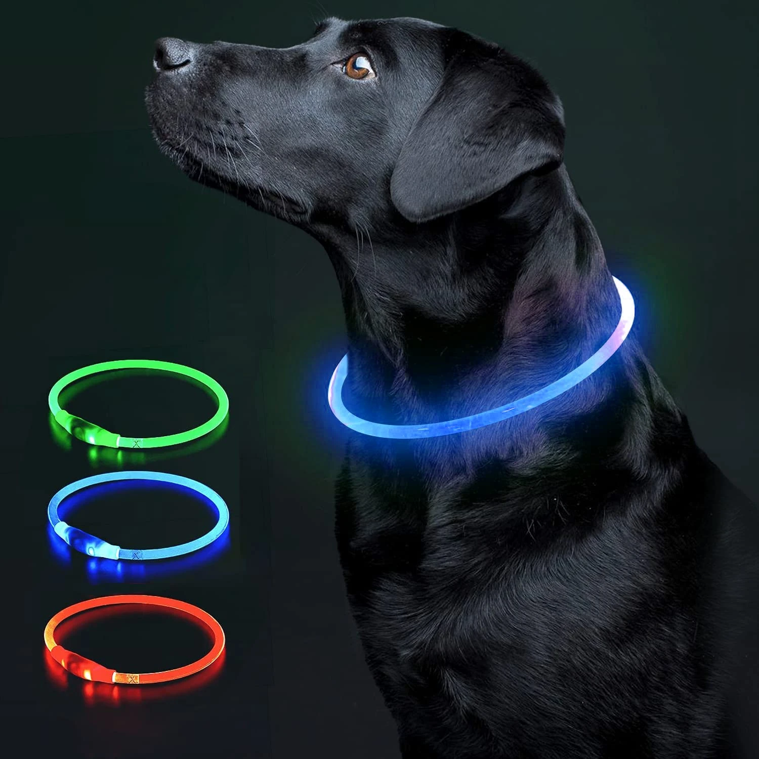 COOL PAWS LED Dog Collar – USB Rechargeable, Adjustable Dog Collar Light, Waterproof & Durable Reflective Light Up Dog Collars for Night with 3 Flashing Modes for Small, Medium & Large Dogs, Blue
