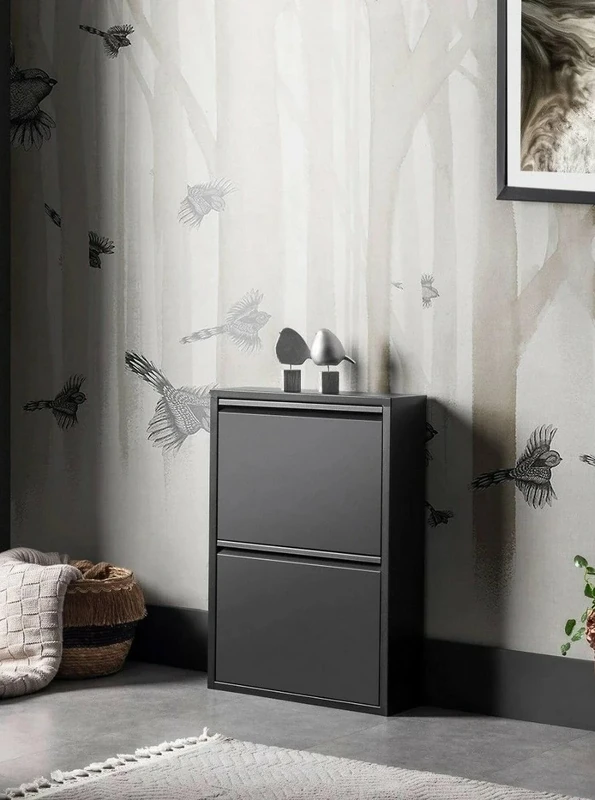 Dmora Ezequiel Shoe Rack, Multi-Purpose Entrance Cabinet, Shoe Cabinet, 50 x 15 x 71 cm, Black, 2 Compartments