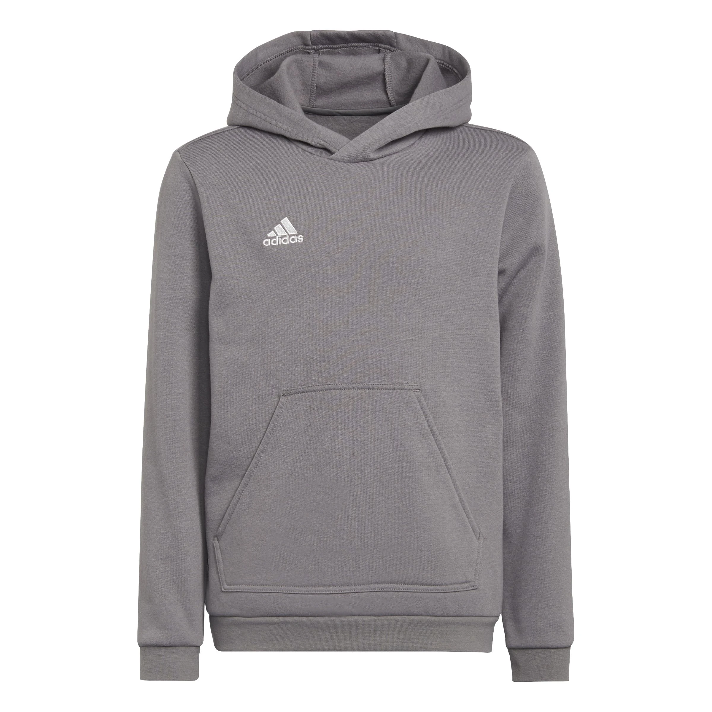 adidas Unisex Kids Entrada 22 Sweat Hoodie, Team Grey Four, 15-16 Years