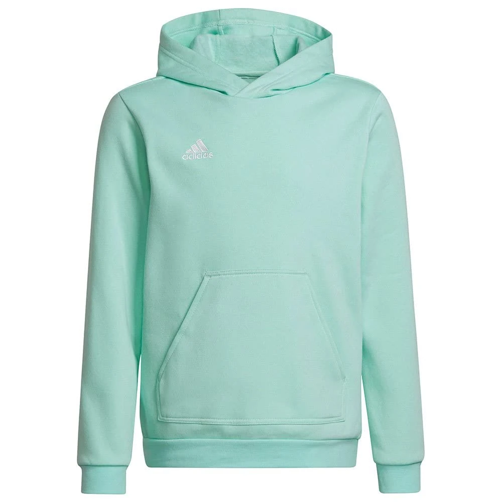 adidas Unisex Kids Entrada 22 Sweat Hoodie, Clear Mint, 15-16 Years