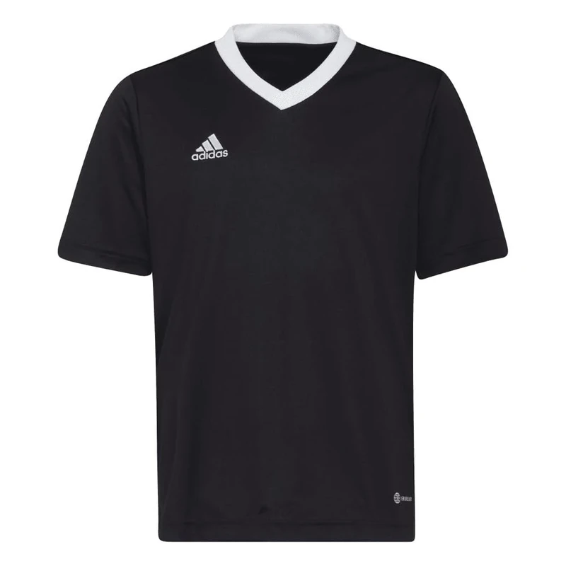 adidas Unisex Kids Entrada 22 Jersey, Black, 15-16 Years